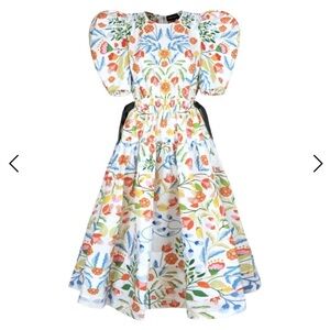 Jessie Zhao New York Puff Sleeve Floral Print Midi Dress Women’s Size 10